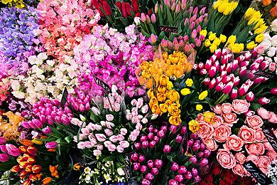 《战神5》2.04更新发布 难度bug终于被修复